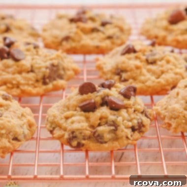 Tropical Chocolate Chip Oat Delights 7 chocolate chip coconut oatmeal cookies on a cooling rack