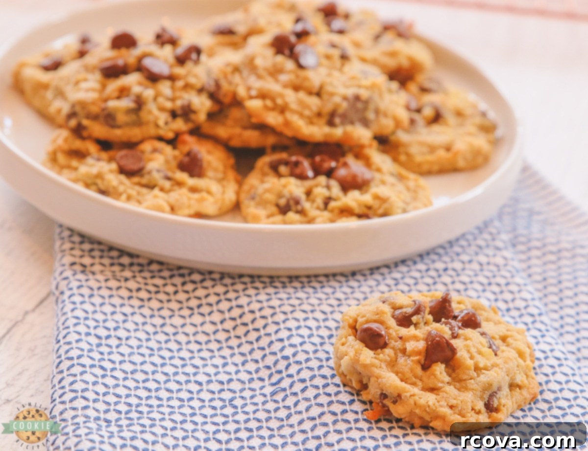 Tropical Chocolate Chip Oat Delights 8 A stack of golden chocolate chip coconut oatmeal cookies on a simple white plate, ready to be enjoyed.