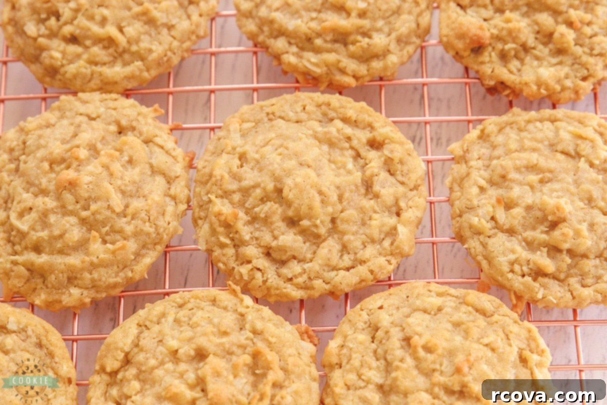 Chewy Coconut Oatmeal Delights 4 Warm coconut oatmeal cookies cooling on a stylish rose gold rack, ready to be enjoyed.