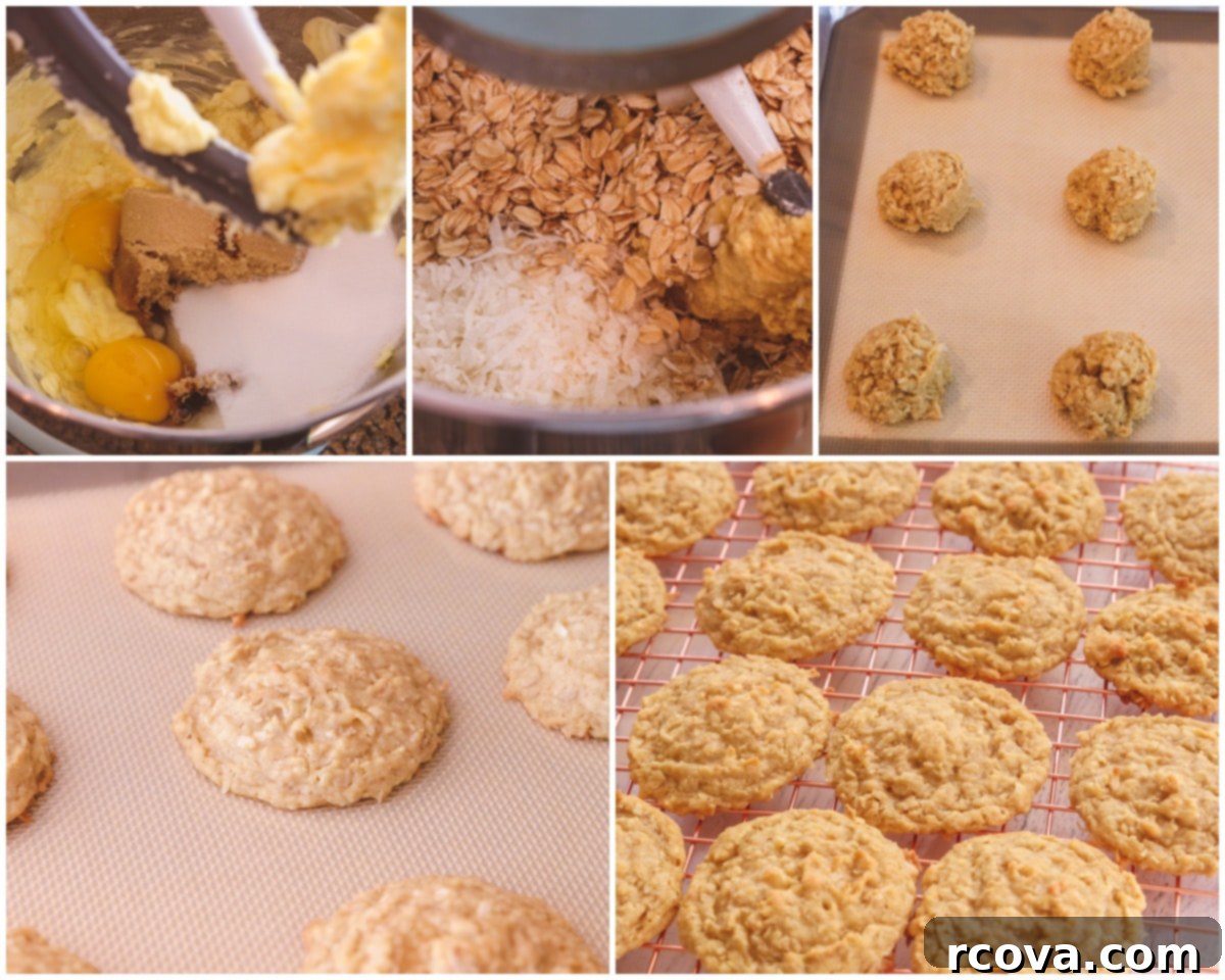 Chewy Coconut Oatmeal Delights 5 Step-by-step guide showing how to make delicious coconut oatmeal cookies from scratch.