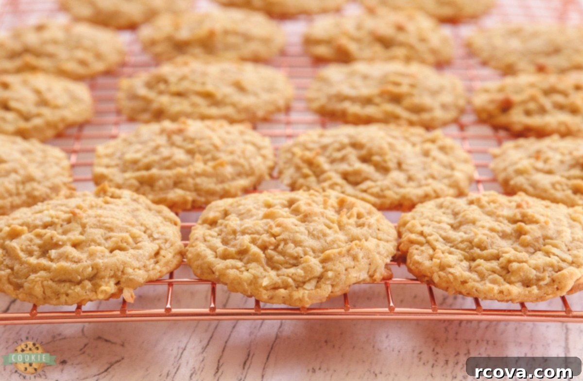 Chewy Coconut Oatmeal Delights 7 A delicious close-up of a freshly baked coconut oatmeal cookie, ready to be enjoyed.