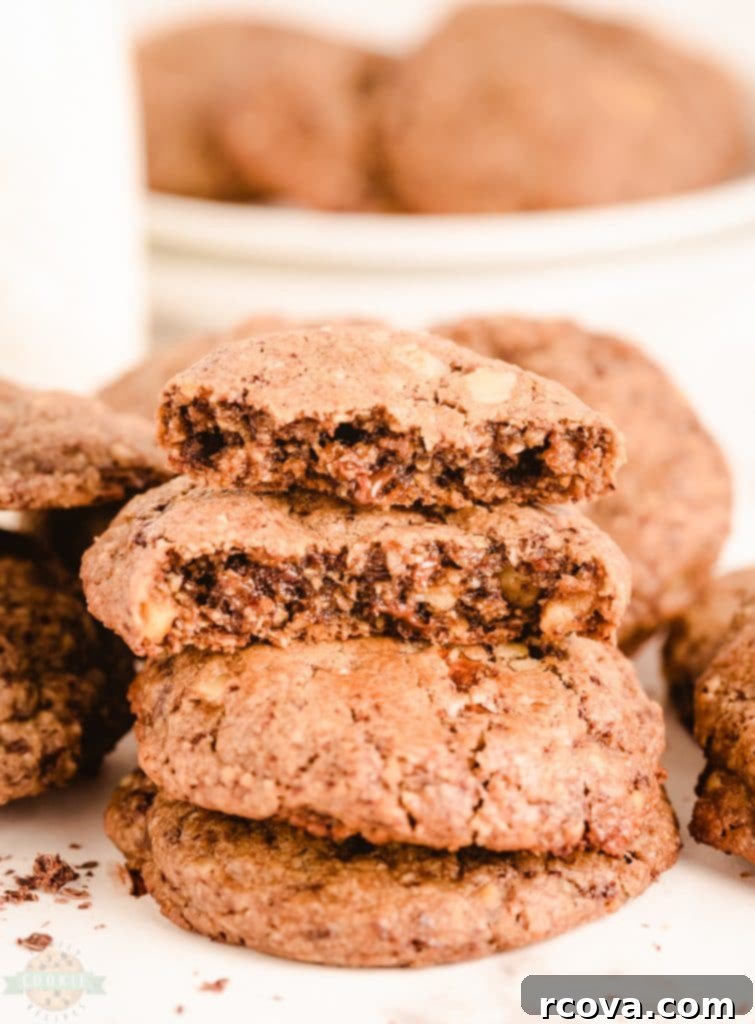 Irresistible Homemade Chocolate Chip Cookie Recipes 14 Better Than Neiman Marcus Cookies, featuring oatmeal, chocolate chips, and grated chocolate.
