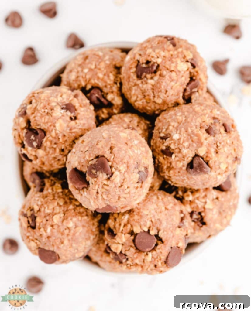 Irresistible Homemade Chocolate Chip Cookie Recipes 15 A plate of freshly baked Vegan Chocolate Chip Cookies, soft and inviting.
