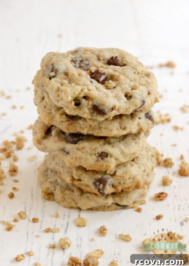 Irresistible Homemade Chocolate Chip Cookie Recipes 24 Granola Chocolate Chip Cookies, showing their wholesome texture with oats and chips.