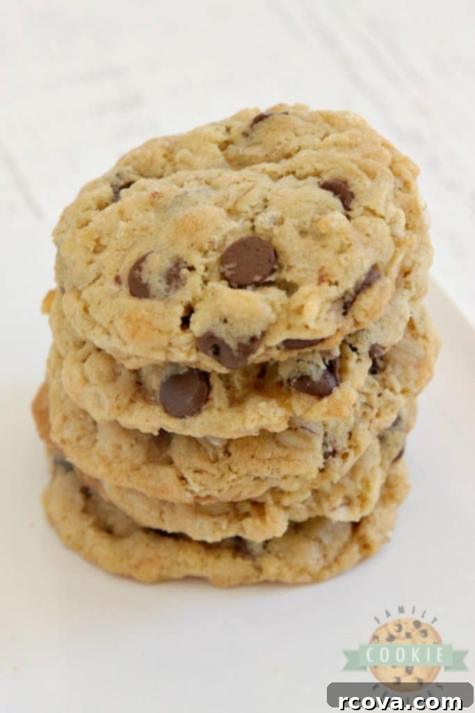 Irresistible Homemade Chocolate Chip Cookie Recipes 25 Rice Krispie Chocolate Chip Cookies, showing the crispy cereal texture.