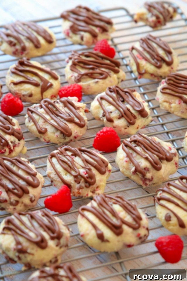 Irresistible Homemade Chocolate Chip Cookie Recipes 33 Chocolate Raspberry Cheesecake Cookies, showing a soft texture and berry pieces.