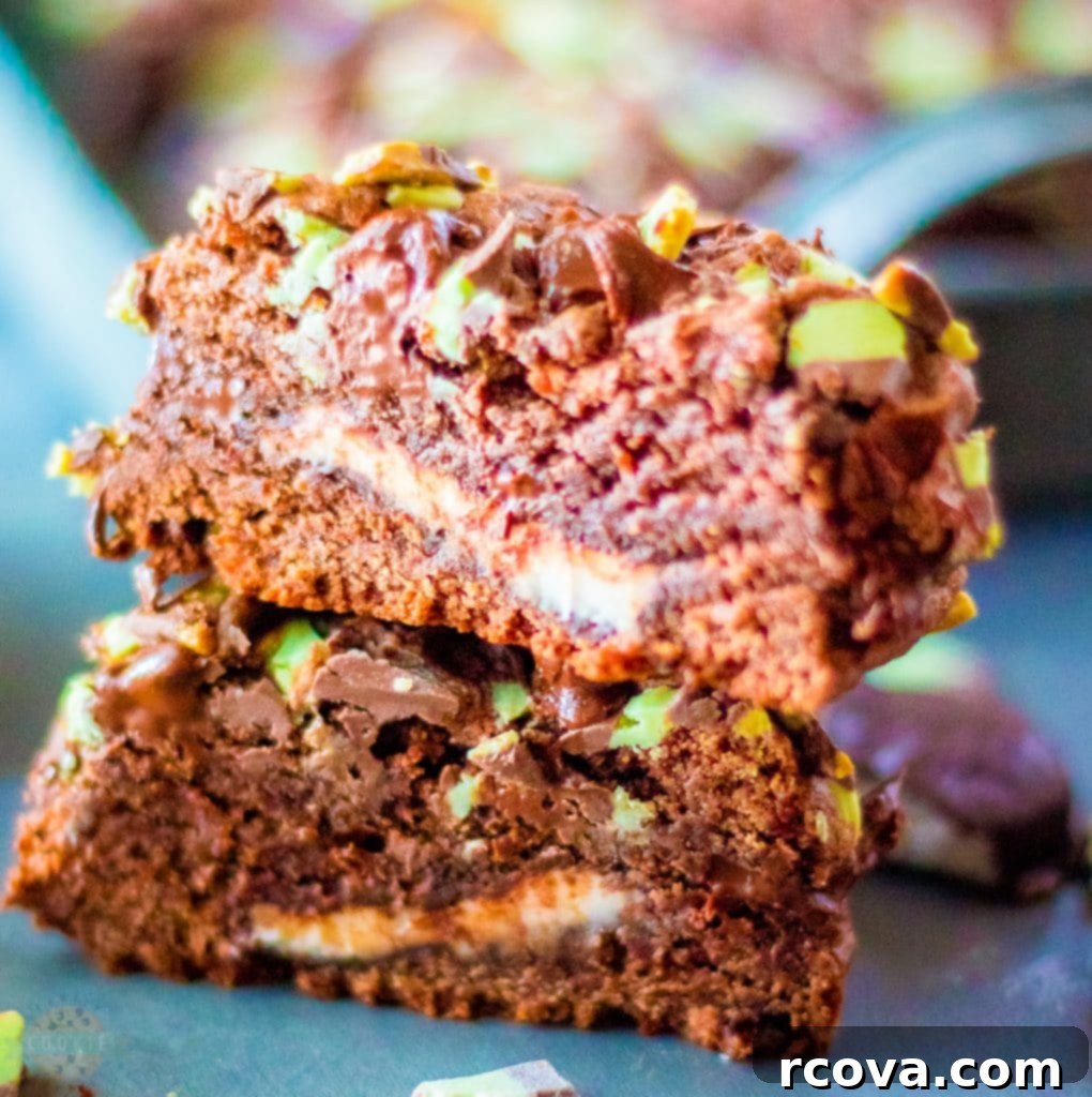 Irresistible Homemade Chocolate Chip Cookie Recipes 39 Big, Fat Mint Chocolate Chip Cookies, featuring a thick cookie with mint chips and a visible peppermint patty.