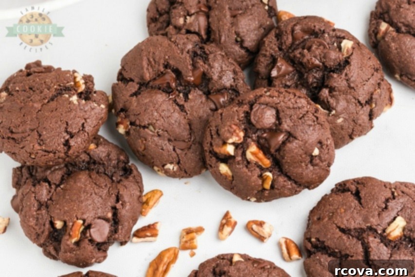Irresistible Homemade Chocolate Chip Cookie Recipes 40 Chocolate Cake Mix Cookies, soft and fudgy, with chocolate chips and pecans.