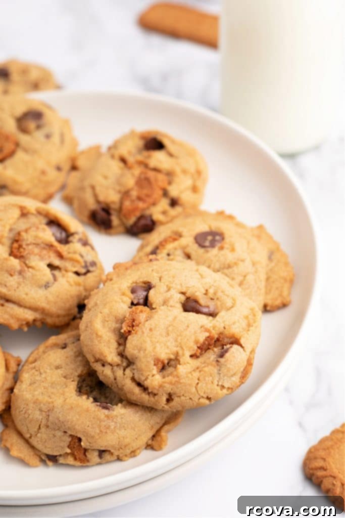 Irresistible Homemade Chocolate Chip Cookie Recipes 5 Biscoff Chocolate Chip Cookies stacked on a white plate, showing the texture and embedded cookie pieces.