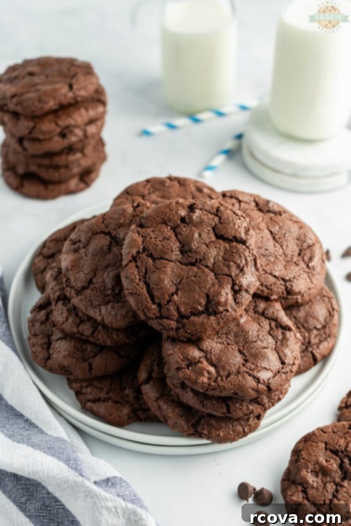 Irresistible Homemade Chocolate Chip Cookie Recipes 41 Double Chocolate Chip Cookies, rich and dark, showcasing plenty of chocolate.