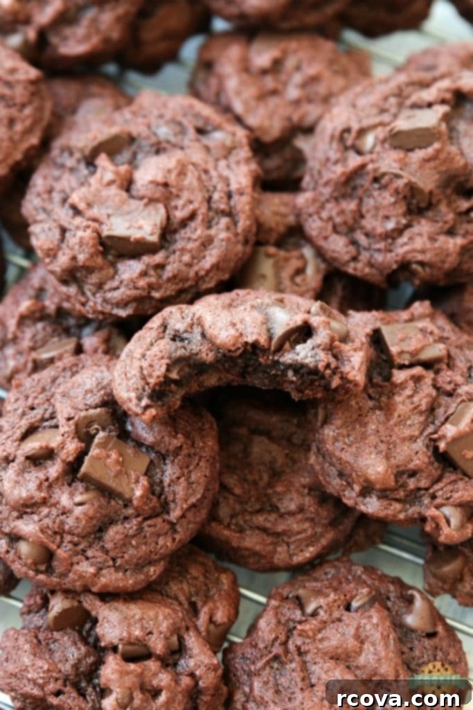 Irresistible Homemade Chocolate Chip Cookie Recipes 42 Double Chocolate Chip Pudding Cookies, with extra chocolate chunks and chips.