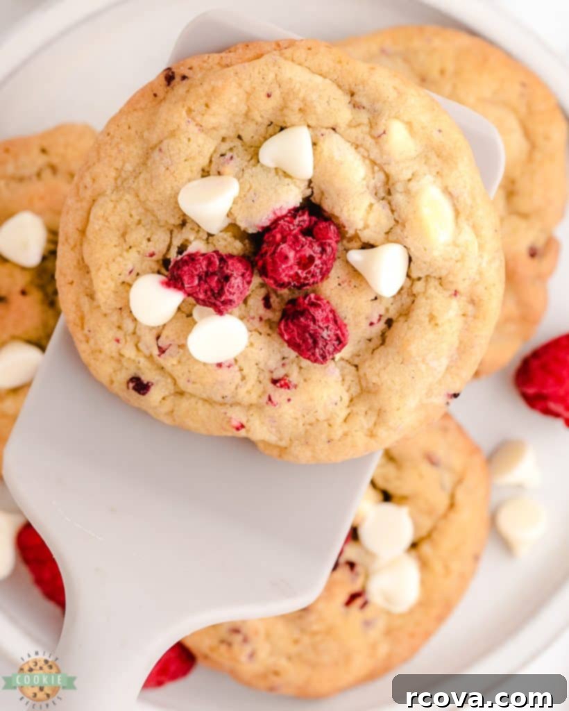 Irresistible Homemade Chocolate Chip Cookie Recipes 45 A serving of Raspberry White Chocolate Cookies, showcasing their vibrant color and soft texture.