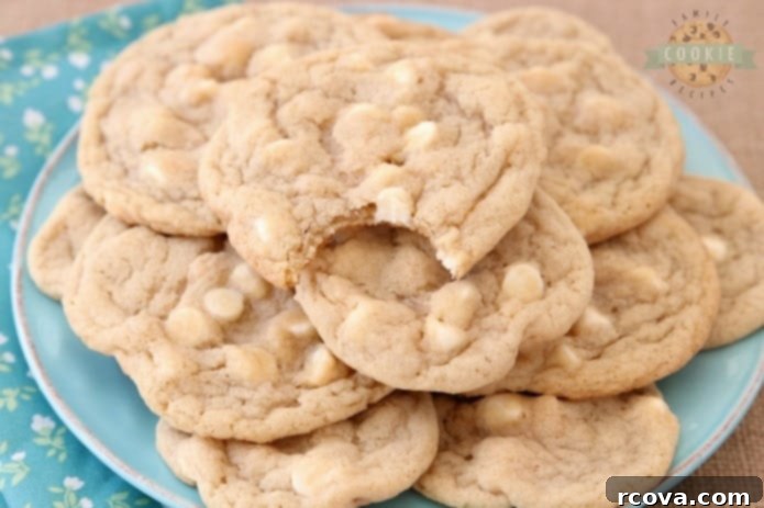 Irresistible Homemade Chocolate Chip Cookie Recipes 46 Copycat Mrs. Fields White Chocolate Chip Cookies, soft and inviting.
