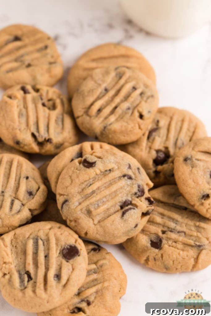 Irresistible Homemade Chocolate Chip Cookie Recipes 52 Peanut Butter Chocolate Chip Cookies, golden brown and perfectly baked.