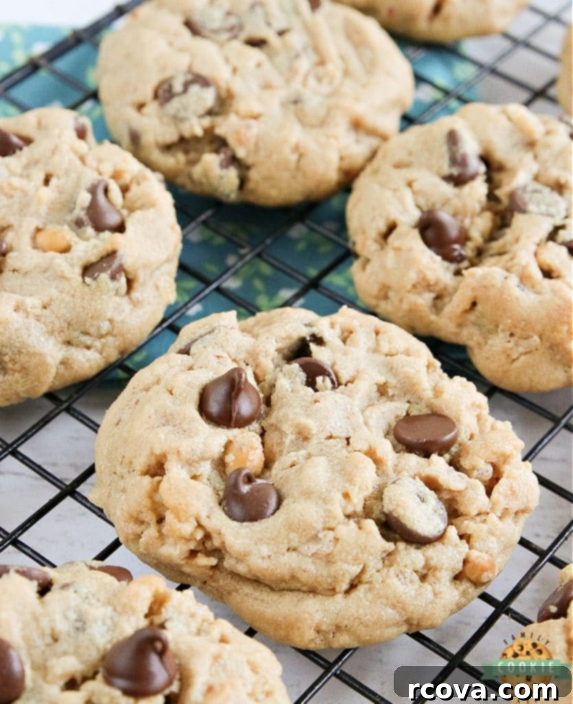 Irresistible Homemade Chocolate Chip Cookie Recipes 53 Rice Krispie Chocolate Chip Peanut Butter Cookies, with visible crispy cereal.