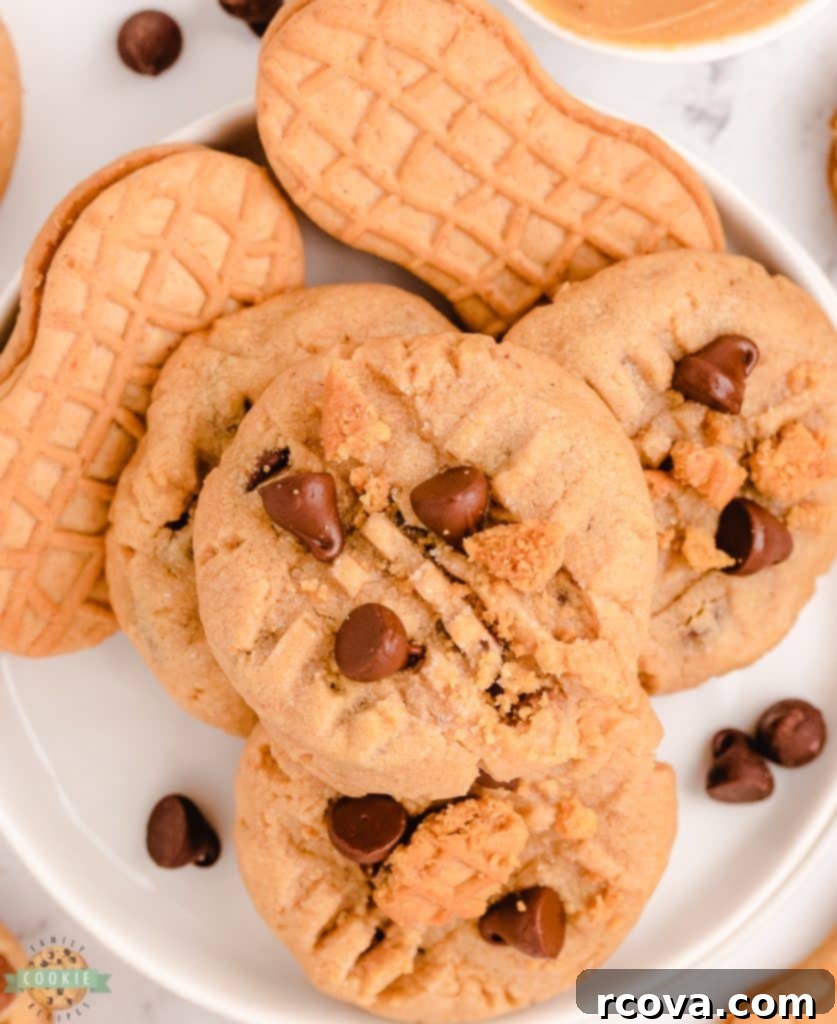 Irresistible Homemade Chocolate Chip Cookie Recipes 54 Nutter Butter Chocolate Chip Peanut Butter Cookies, with visible Nutter Butter pieces.