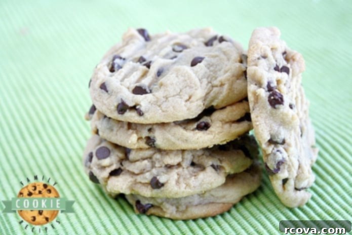 Irresistible Homemade Chocolate Chip Cookie Recipes 59 Best Chocolate Chip Peanut Butter Cookies, perfectly baked.