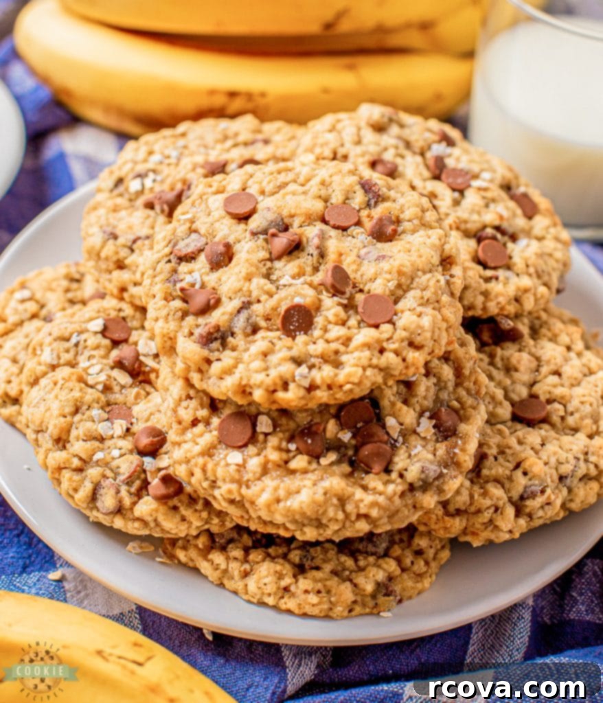 Irresistible Homemade Chocolate Chip Cookie Recipes 62 Banana Chocolate Chip Oatmeal Cookies, soft and chewy with visible banana.