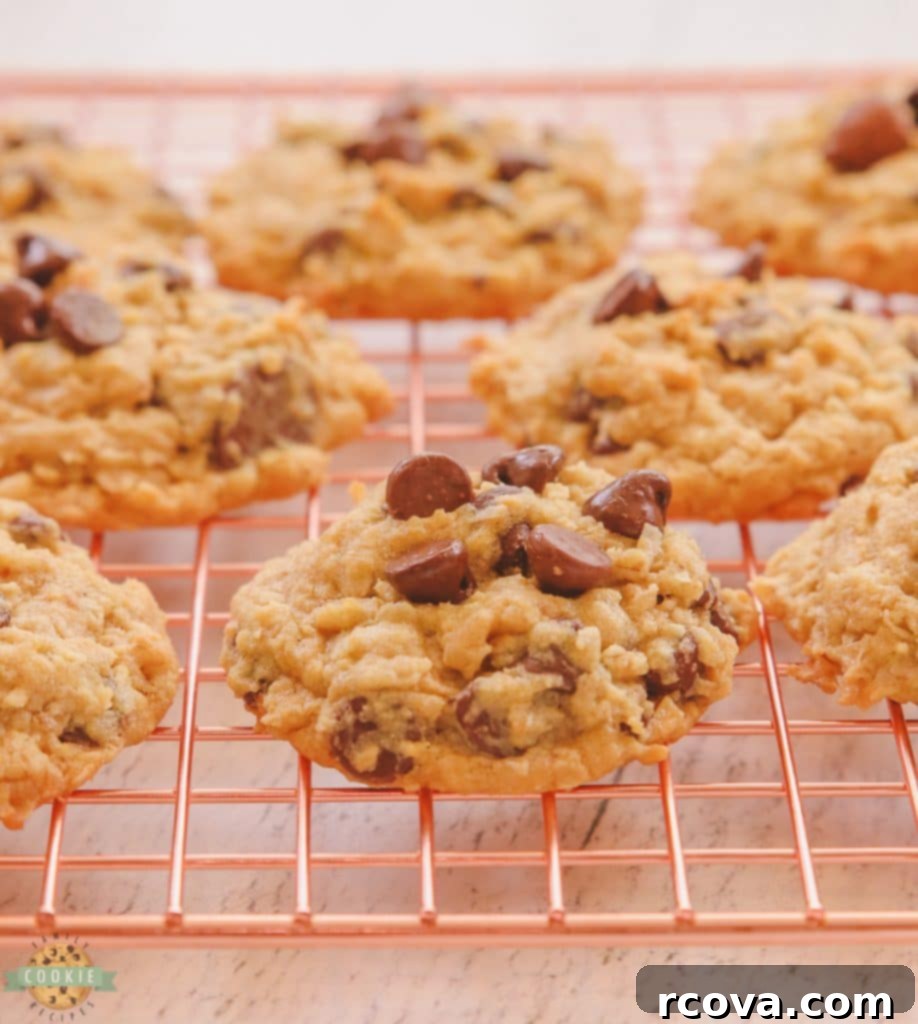 Irresistible Homemade Chocolate Chip Cookie Recipes 63 Chocolate Chip Coconut Oatmeal Cookies, on a cooling rack, showing their texture.