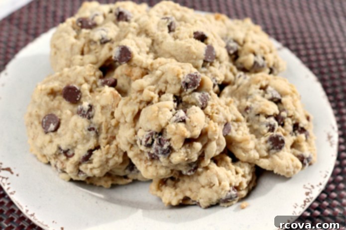 Irresistible Homemade Chocolate Chip Cookie Recipes 64 Oatmeal Chocolate Chip Cookies, soft and chewy.