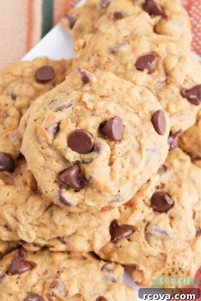Irresistible Homemade Chocolate Chip Cookie Recipes 65 Pumpkin Oatmeal Chocolate Chip Cookies, thick and moist.