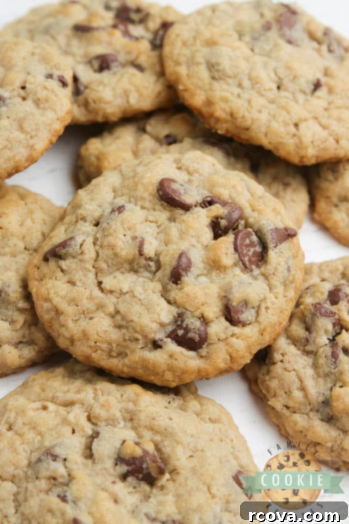 Irresistible Homemade Chocolate Chip Cookie Recipes 66 Eggless Oatmeal Chocolate Chip Cookies, perfectly baked and round.