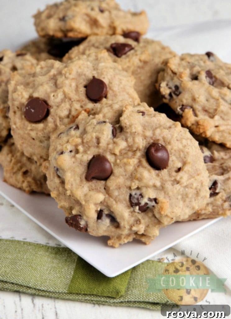 Irresistible Homemade Chocolate Chip Cookie Recipes 68 Applesauce Oatmeal Chocolate Chip Cookies, soft and moist.