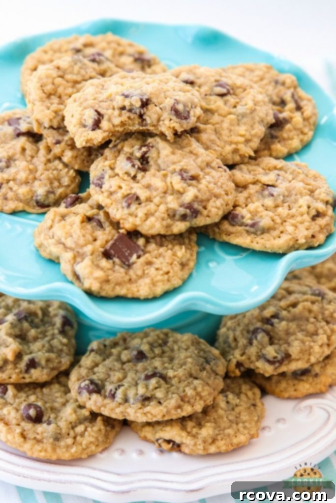 Irresistible Homemade Chocolate Chip Cookie Recipes 69 Chocolate Chip Oatmeal Cookies, classic and inviting.