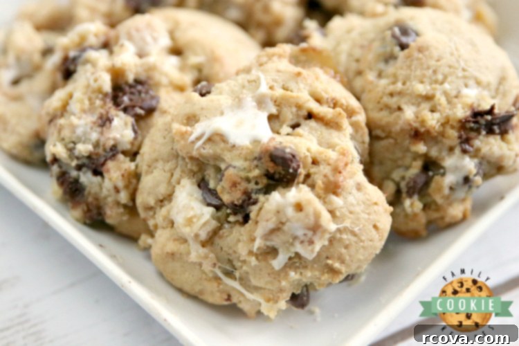 Irresistible Homemade Chocolate Chip Cookie Recipes 70 Graham Cracker S'mores Cookies, featuring graham cracker crumbs, marshmallows, and chocolate chips.
