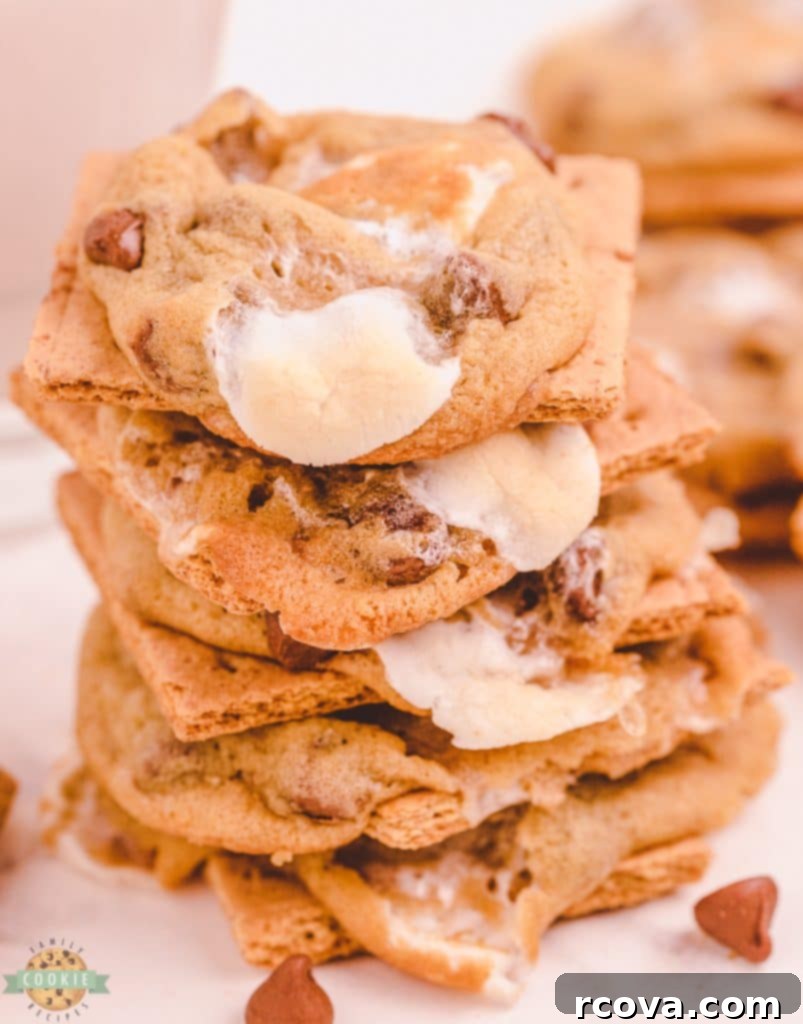 Irresistible Homemade Chocolate Chip Cookie Recipes 71 Chocolate Chip S'mores Cookies, with visible graham crackers, marshmallows, and chocolate.