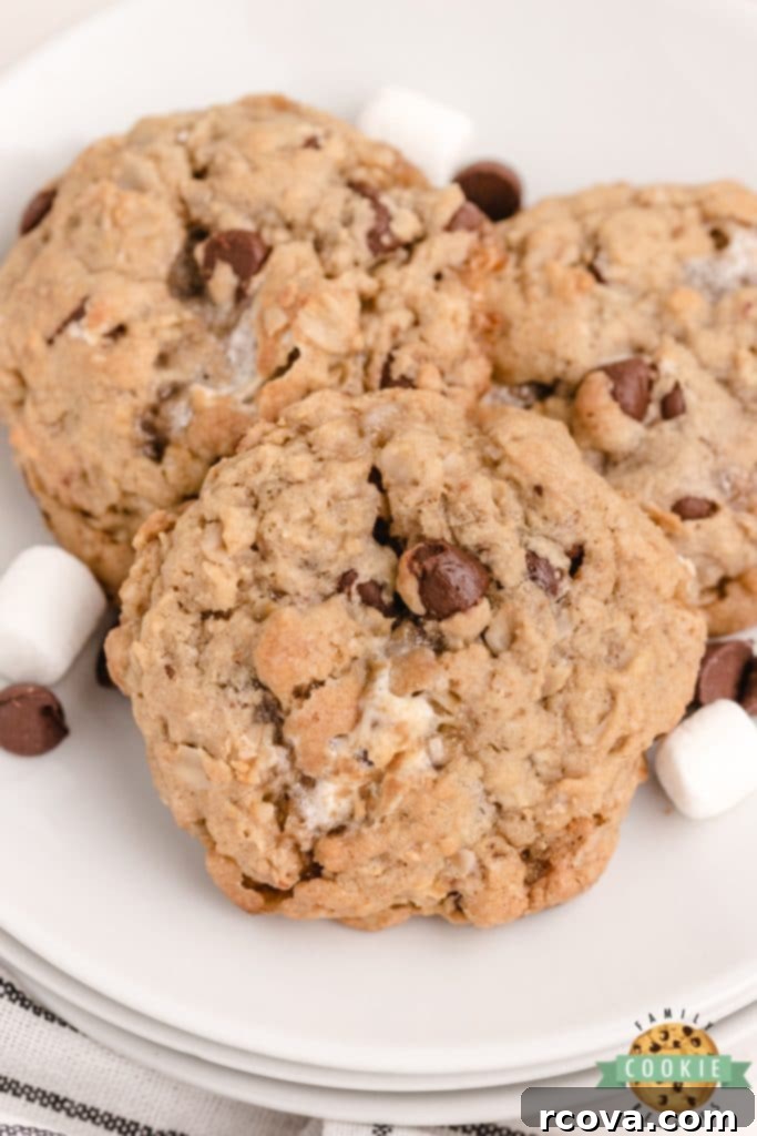 Irresistible Homemade Chocolate Chip Cookie Recipes 72 S'mores Oatmeal Cookies, with oats, chocolate chips, and mini marshmallows.