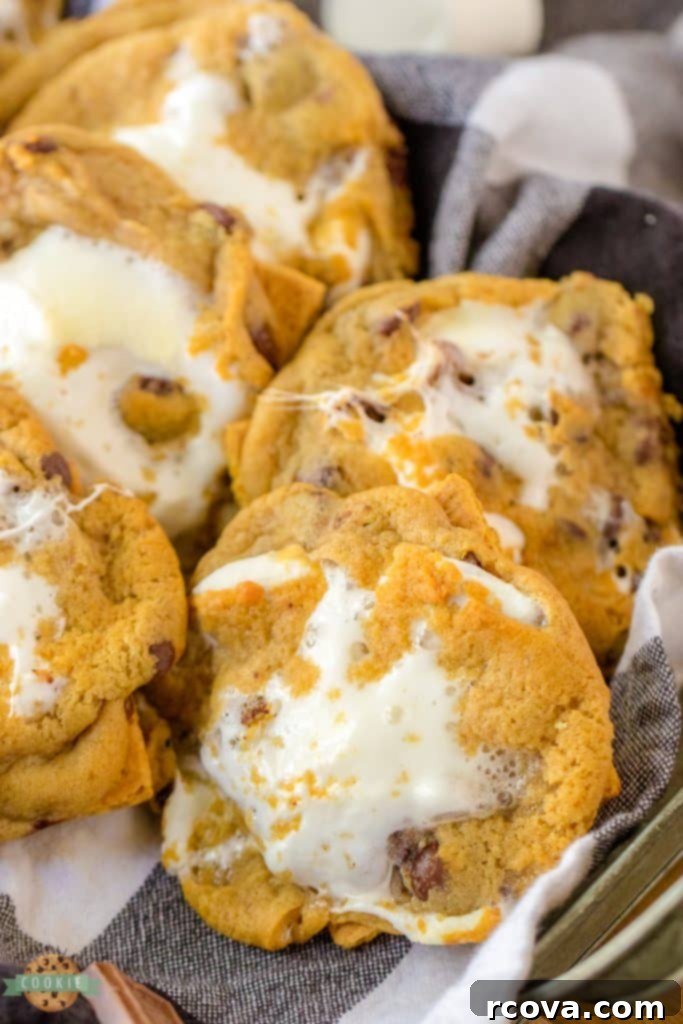 Irresistible Homemade Chocolate Chip Cookie Recipes 74 Easy 4 Ingredient S'mores Cookies, simple and inviting.