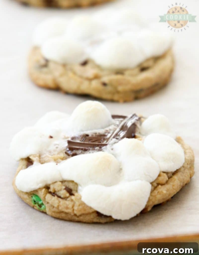 Irresistible Homemade Chocolate Chip Cookie Recipes 75 S'mores Cookies, loaded with chocolate chips, M&M's, and marshmallows.