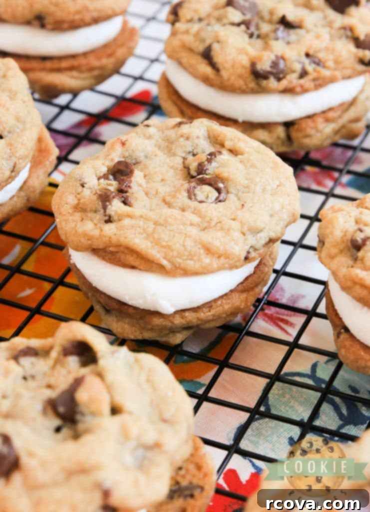 Irresistible Homemade Chocolate Chip Cookie Recipes 76 S'mores Cookie Sandwiches, with graham cracker chocolate chip cookies and marshmallow filling.