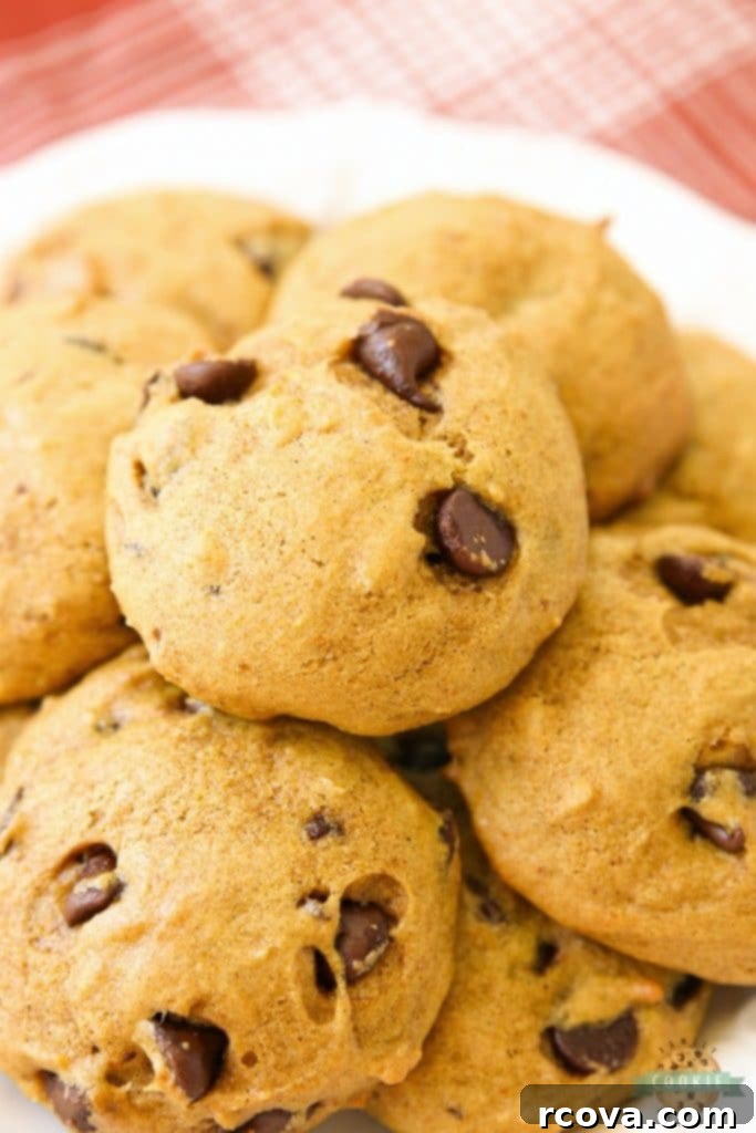 Irresistible Homemade Chocolate Chip Cookie Recipes 92 Pumpkin Chocolate Chip Cookies, soft and inviting.