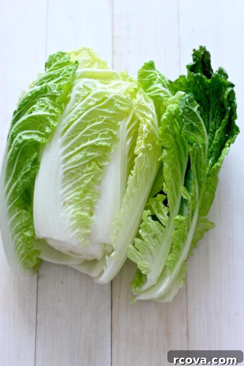 Wholesome Napa Cabbage Wraps 4 Several uncooked Healthier Napa Cabbage Rolls filled with ground turkey and quinoa, neatly arranged in a baking dish before sauce is added.