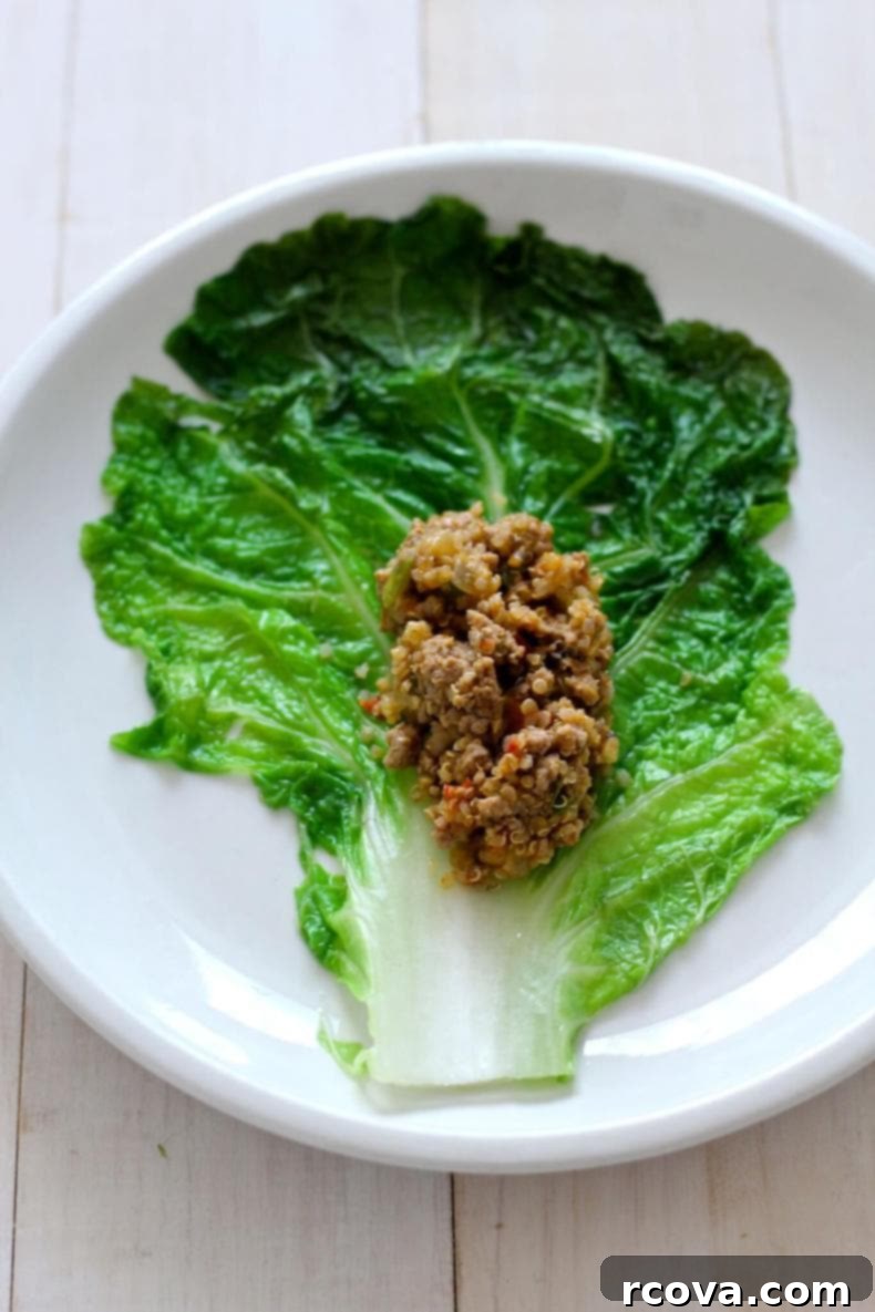 Wholesome Napa Cabbage Wraps 7 A serving of Healthier Napa Cabbage Rolls with quinoa filling and rich tomato sauce, plated and ready to eat, garnished with fresh herbs.