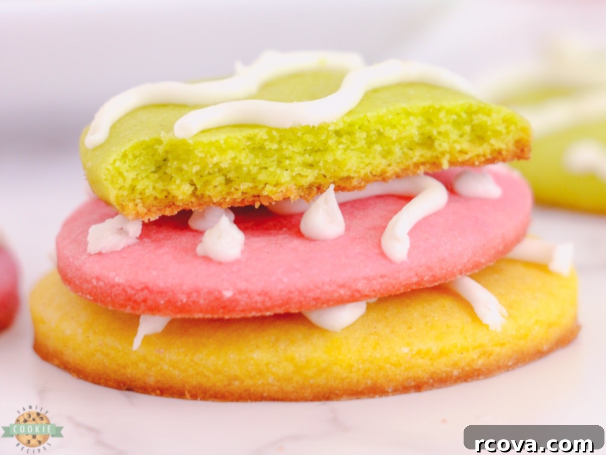 Whimsical Easter Egg Sugar Cookies 3 pastel Easter Egg sugar cookies