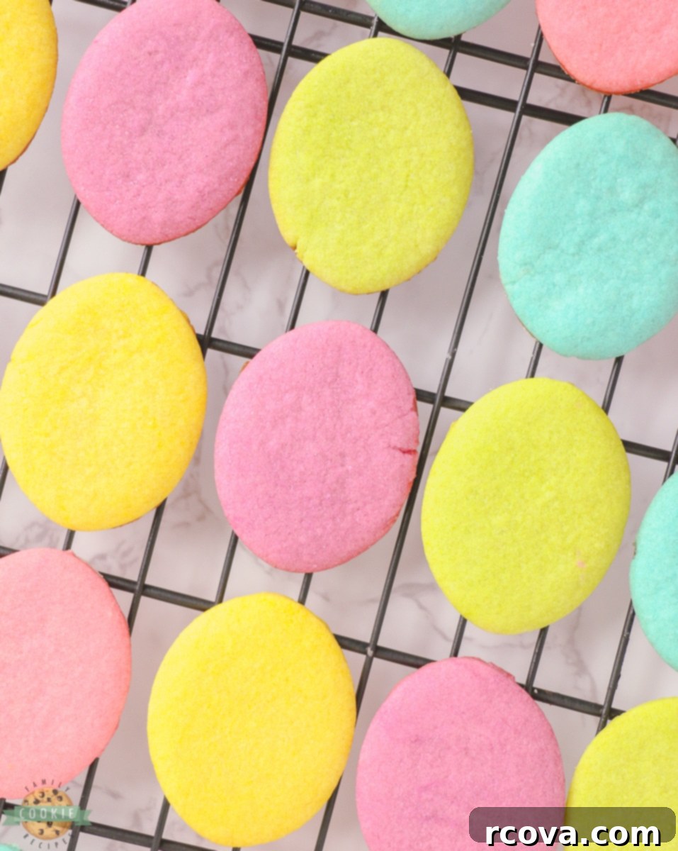 Whimsical Easter Egg Sugar Cookies 5 pastel cut out Easter Egg cookies
