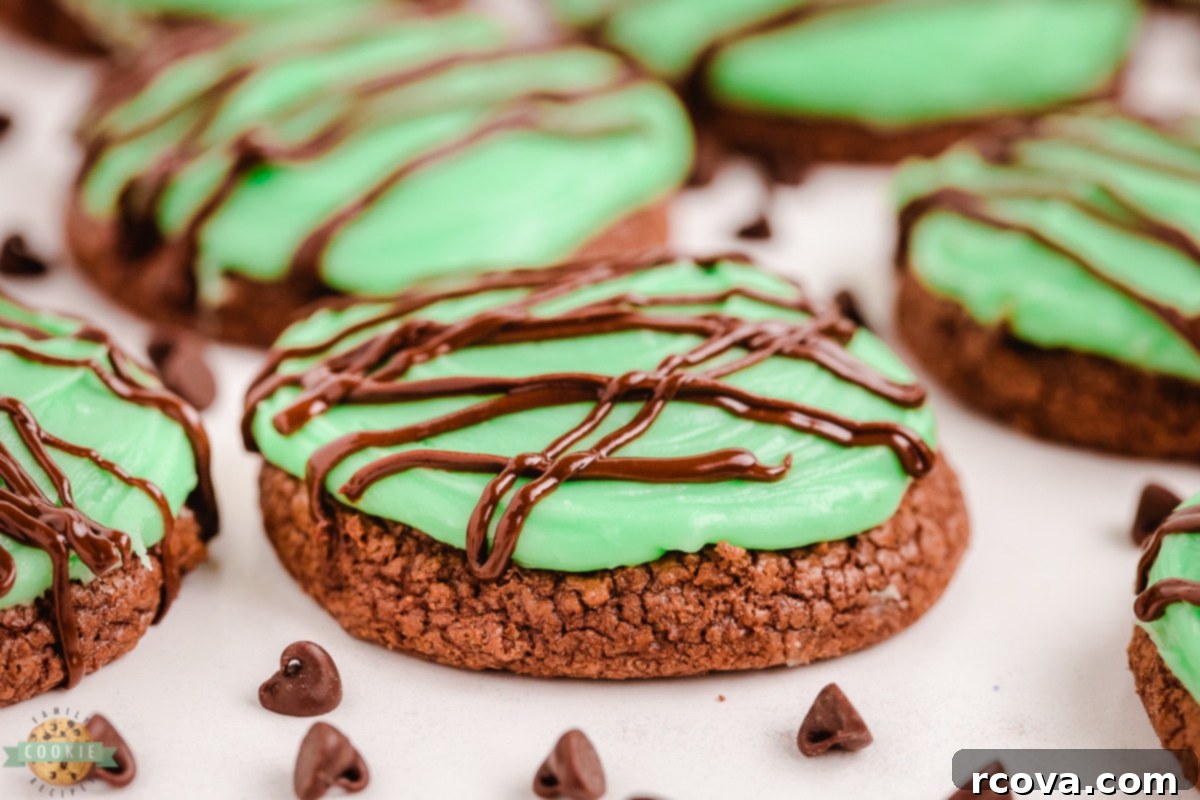 Cool Mint Double Chocolate Delights 2 Double Chocolate Mint Cookies with chocolate chips in a stack