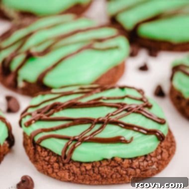 Cool Mint Double Chocolate Delights 8 double chocolate mint cookies