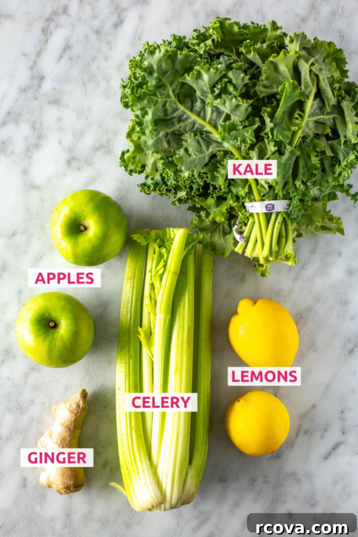Your Quick Green Elixir 4 Overhead shot of all five easy green juice ingredients neatly arranged with labels: kale, apples, celery, lemons, and ginger, ready for preparation.