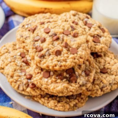 Chewy Banana Chocolate Chip Oatmeal Cookies 8 banana chocolate chip oatmeal cookies