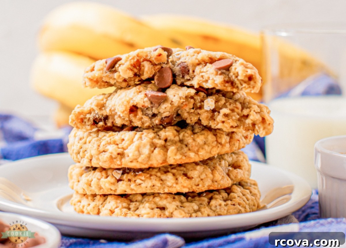 Chewy Banana Chocolate Chip Oatmeal Cookies 9 img 9029 8