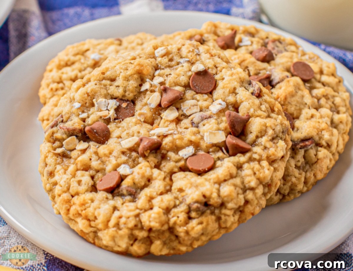 Chewy Banana Chocolate Chip Oatmeal Cookies 10 banana chocolate chip oatmeal cookies on a plate