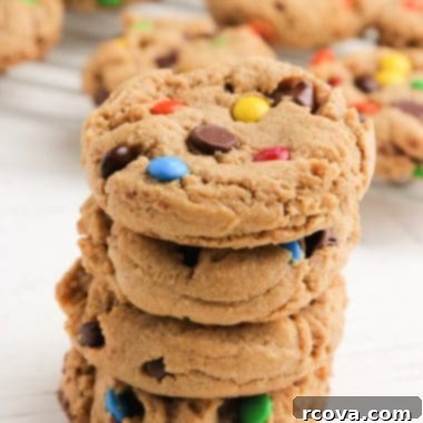 Monster Cookie Perfection 6 img 902 5