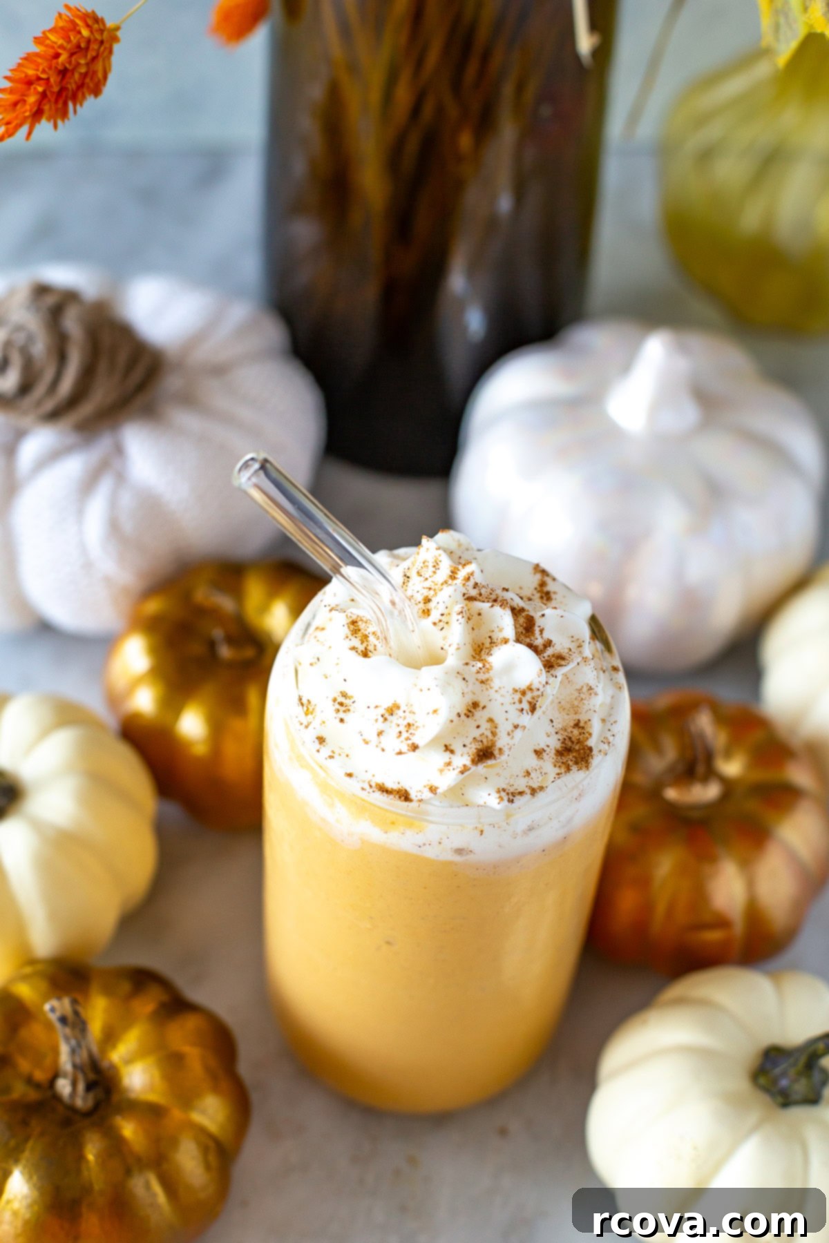 Spiced Pumpkin Protein Fuel 7 Overhead shot of a glass of pumpkin spice protein shake with whipped cream and a straw, surrounded by festive decorative pumpkins, ready to be enjoyed.