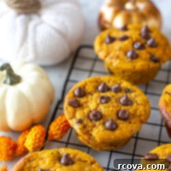 Power-Packed Chocolate Chip Pumpkin Protein Muffins 11 Side shot of several pumpkin protein muffins with chocolate chips on a cooling rack with decorative pumpkins.
