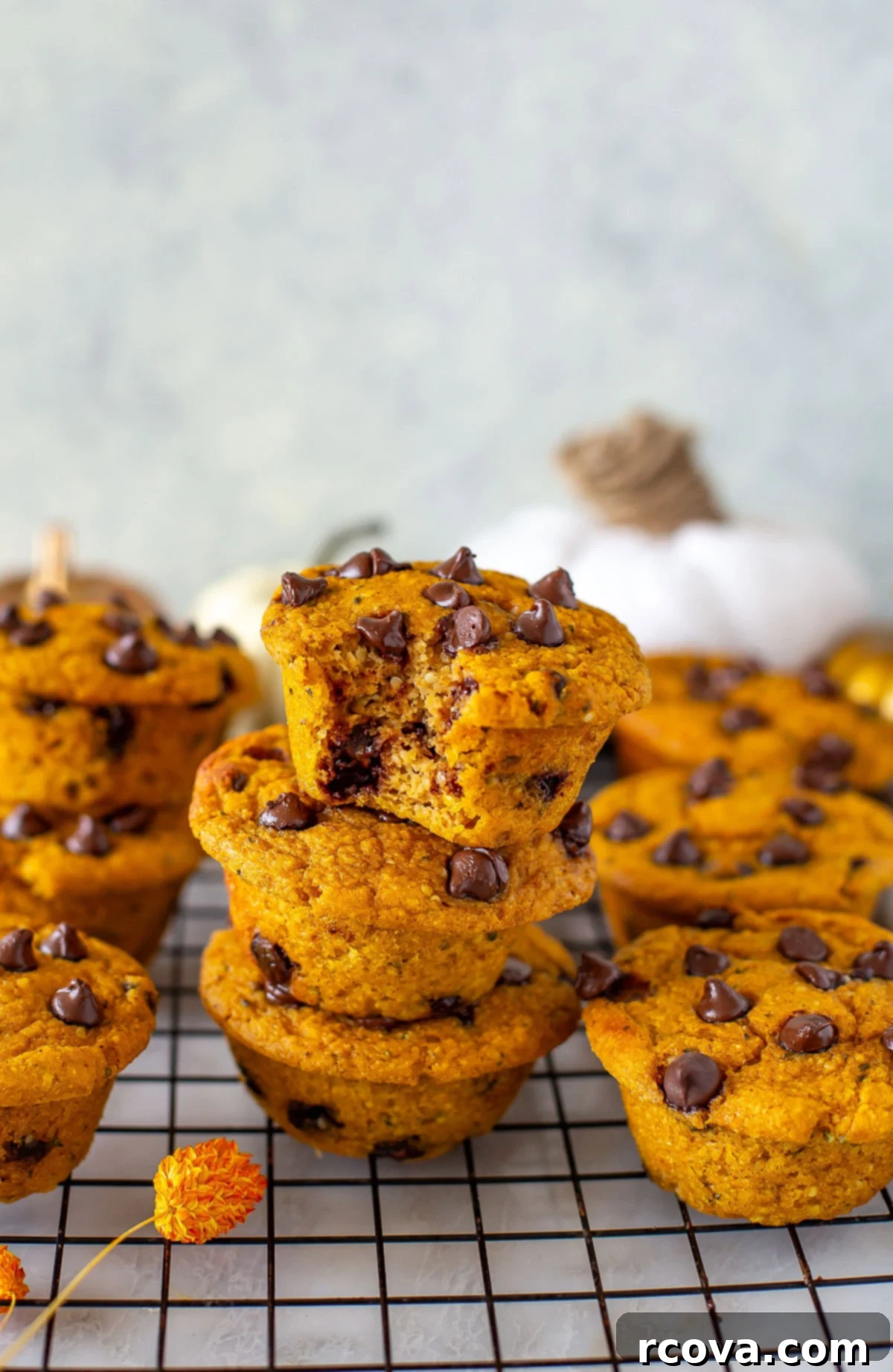 Power-Packed Chocolate Chip Pumpkin Protein Muffins 8 Side shot of a stack of three pumpkin protein muffins with chocolate chips, one with a bite taken out of it.