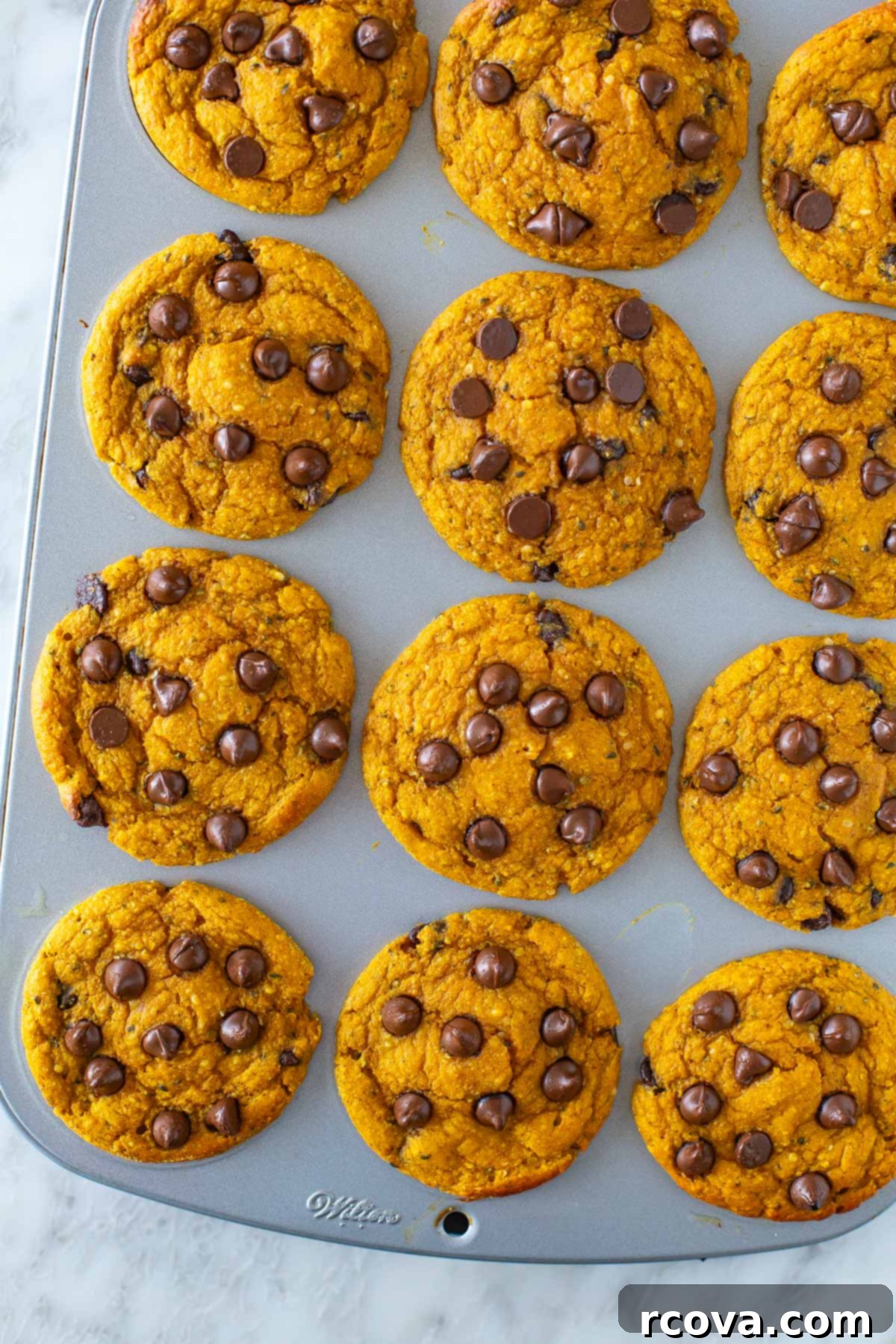 Power-Packed Chocolate Chip Pumpkin Protein Muffins 10 Overhead shot of a dozen pumpkin protein muffins with chocolate chips in a muffin tin.